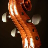 Op44 Cello 6 by David Finck Scroll -- Back
